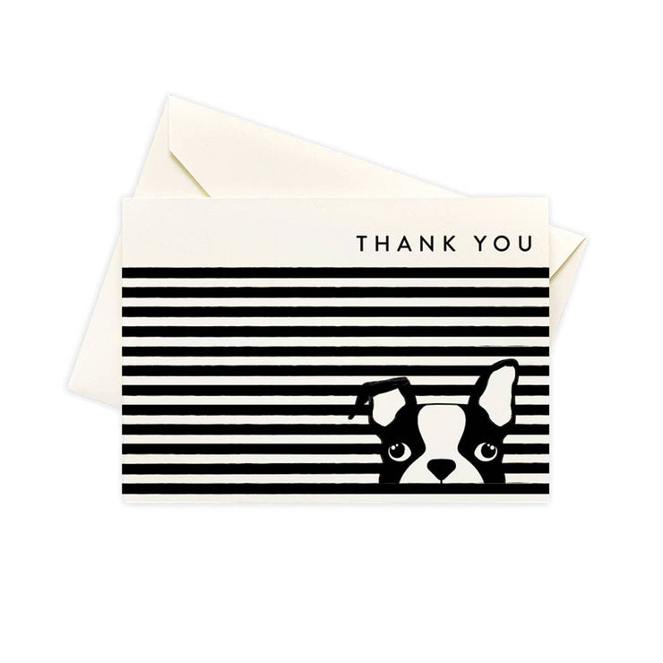 Boxed Thank You Cards "Dog Stripes"