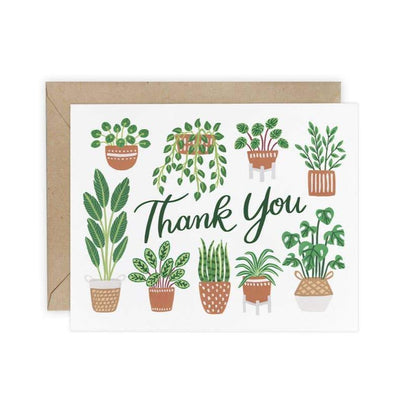 Boxed Thank You Cards "House Plants"