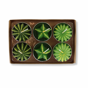 Votive Set | Barrel Cactus