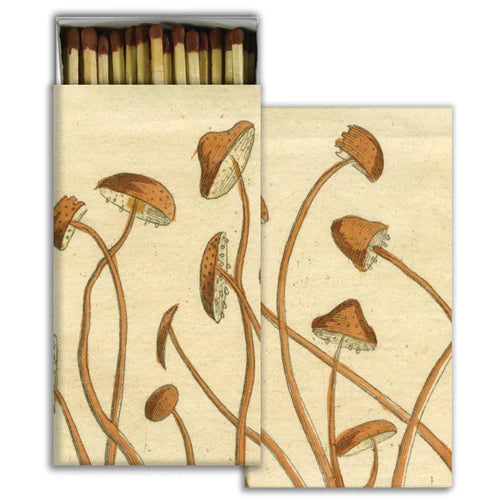 Matches - John Derian Mushrooms