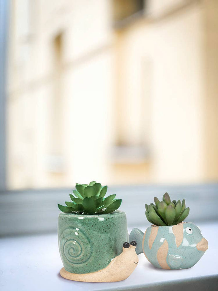 Planter | Snail