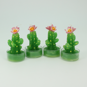 Votive Set | Saguaro Pink Bloom