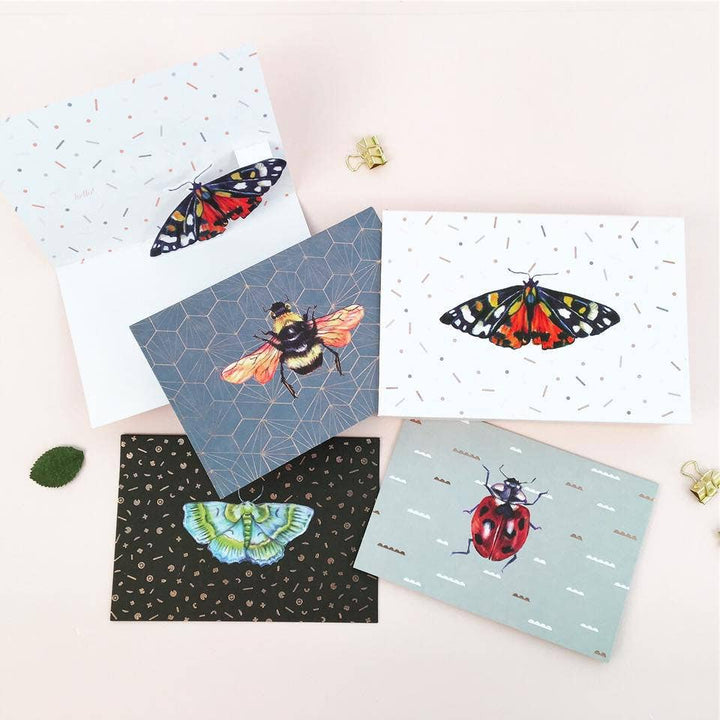 Boxed Blank Pop-Up Cards "Wings"