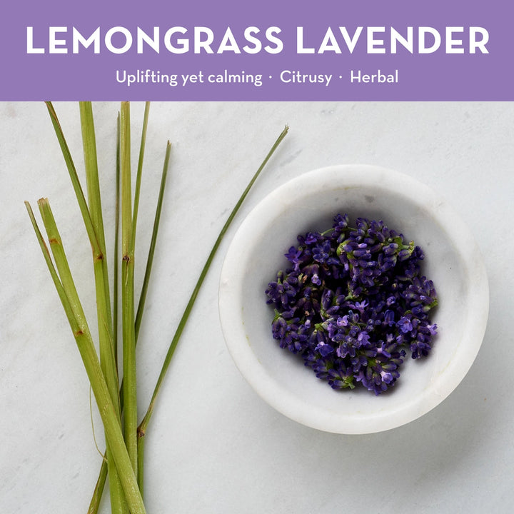 Dani Lemongrass Lavender Candle Tin | 2 oz