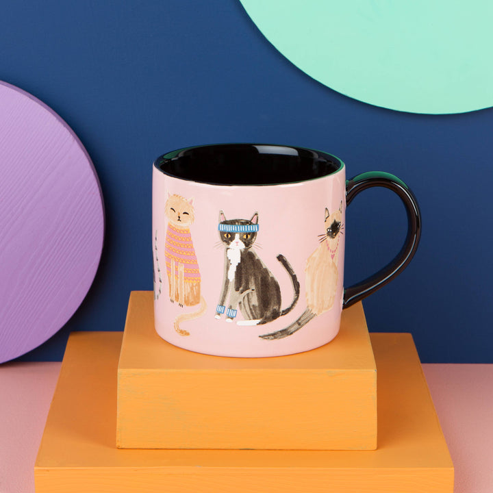 Mug In A Box | Cats