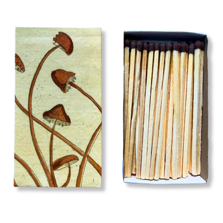 Matches - John Derian Mushrooms