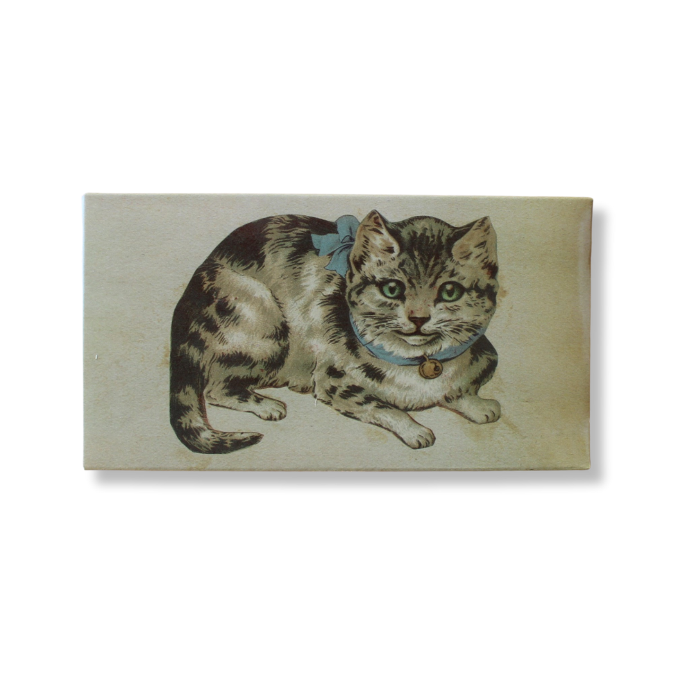 Matches - John Derian Floral Cat