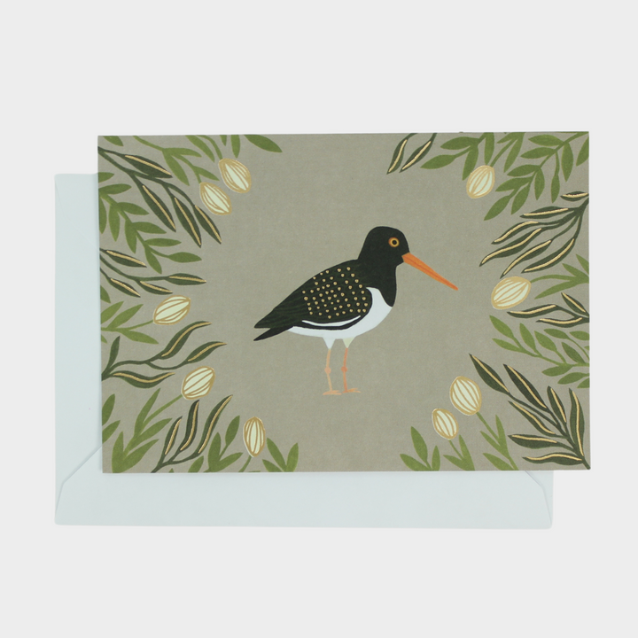 Blank Pop-Up Card "Oystercatcher"