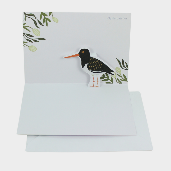 Blank Pop-Up Card "Oystercatcher"