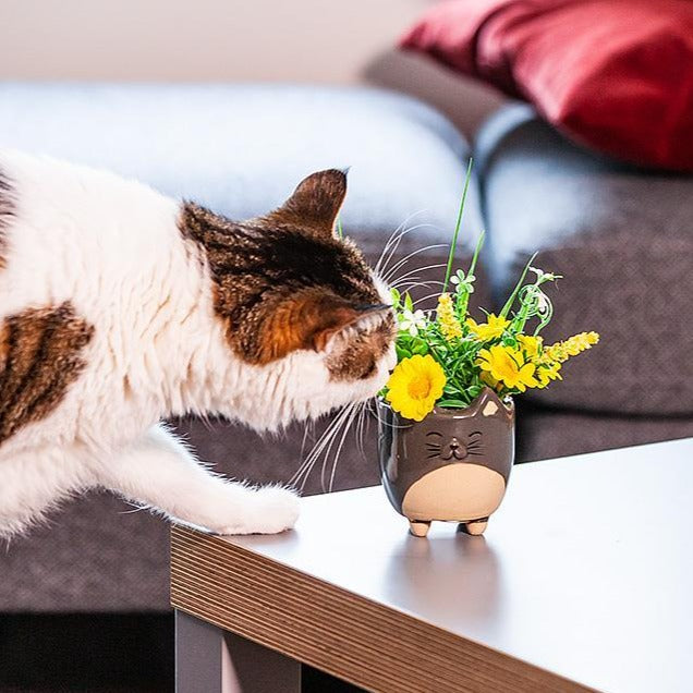 plant pot cat Cat on Legs Planter, Small