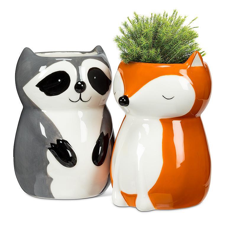 Planter | Raccoon