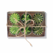 Votive Set | Barrel Cactus