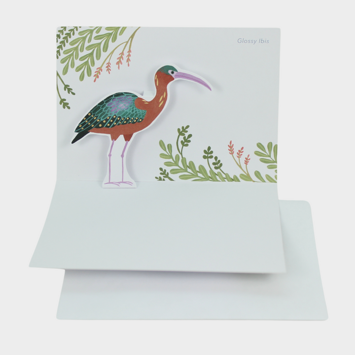 Blank Pop-Up Card "Ibis"