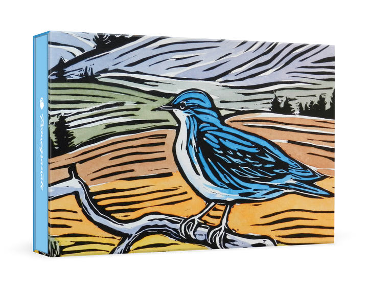 Boxed Notecards | Molly Hashimoto: Mountain Bluebird