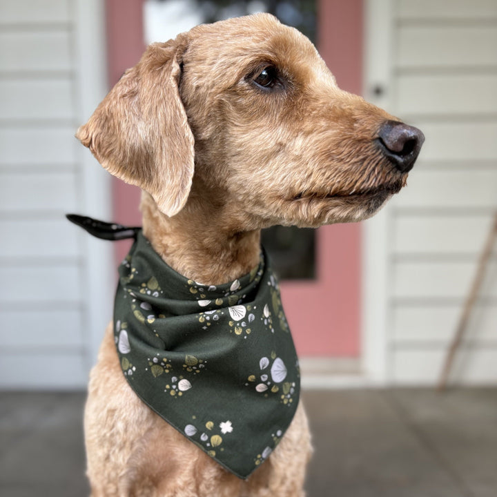 Medium Dog Bandana