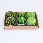 Votive Set | Barrel Cactus