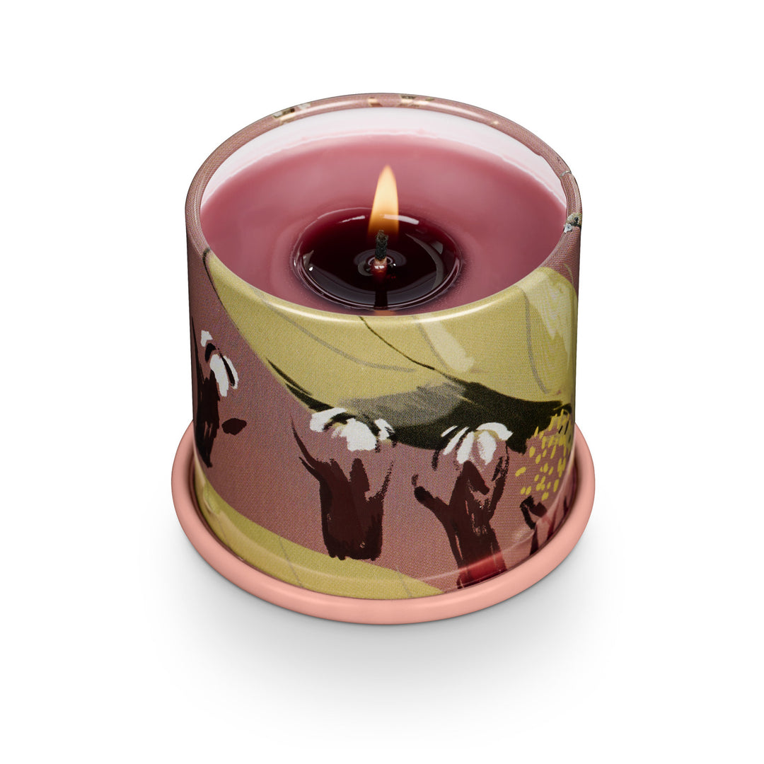 Illume Vanity Candle Tin | Demi Cardamom Pomander