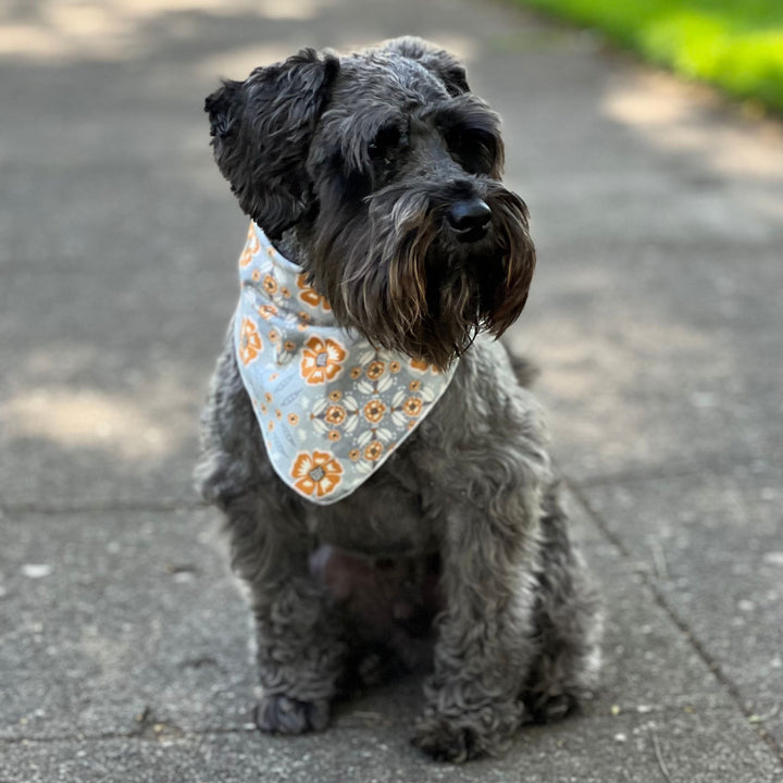 Small Dog Bandana