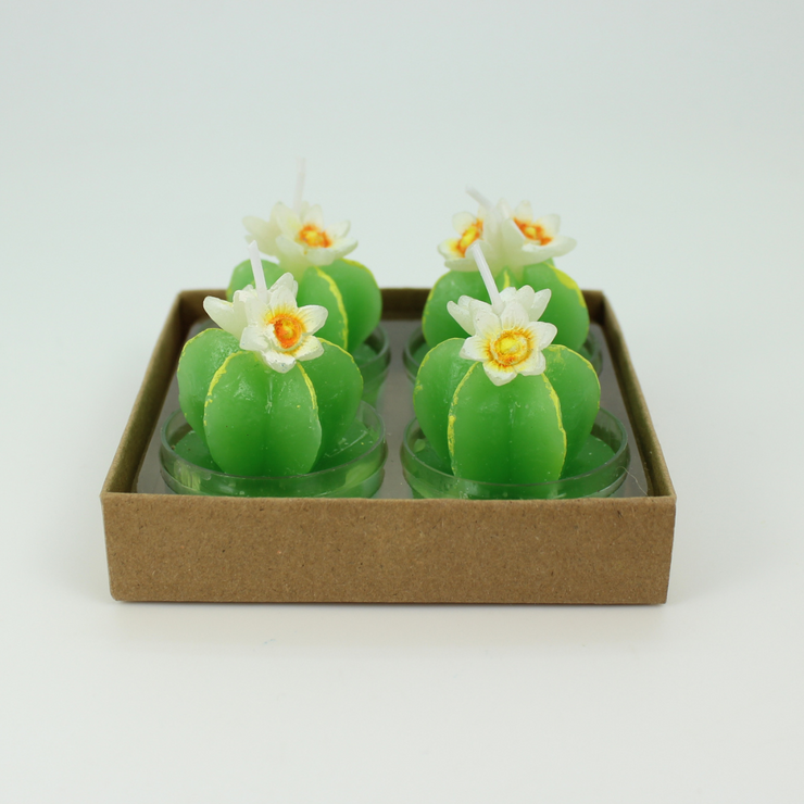 Votive Set | Barrel Cactus White Bloom
