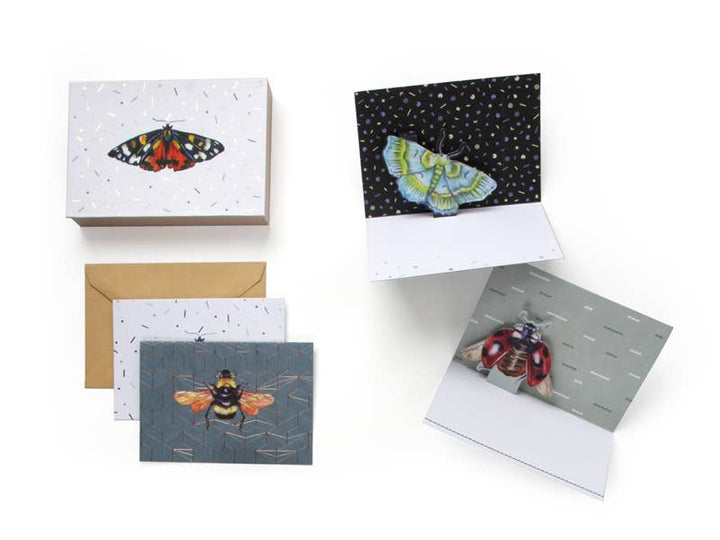 Boxed Blank Pop-Up Cards "Wings"