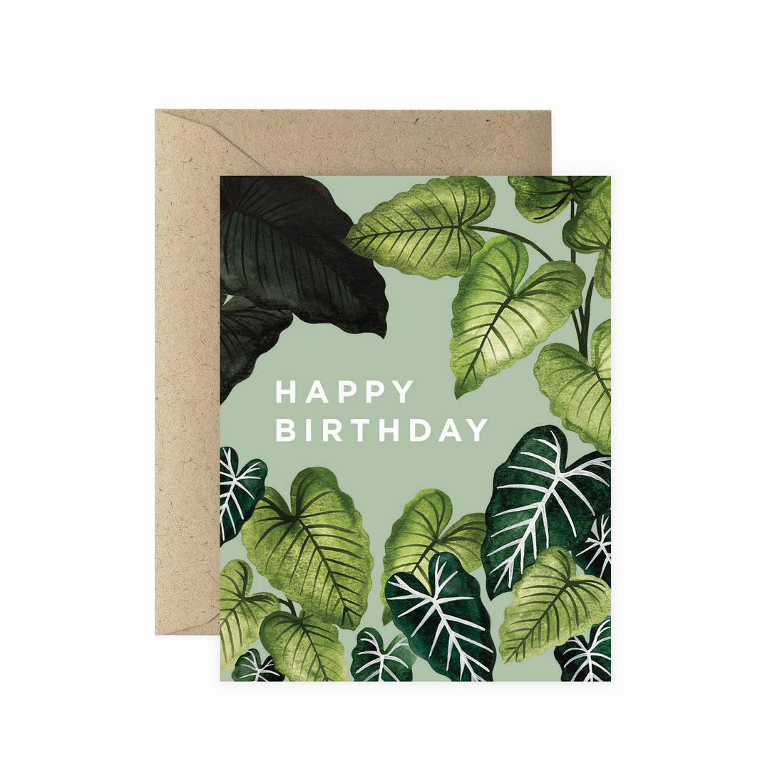 Birthday Card "Alocasia Leaves"