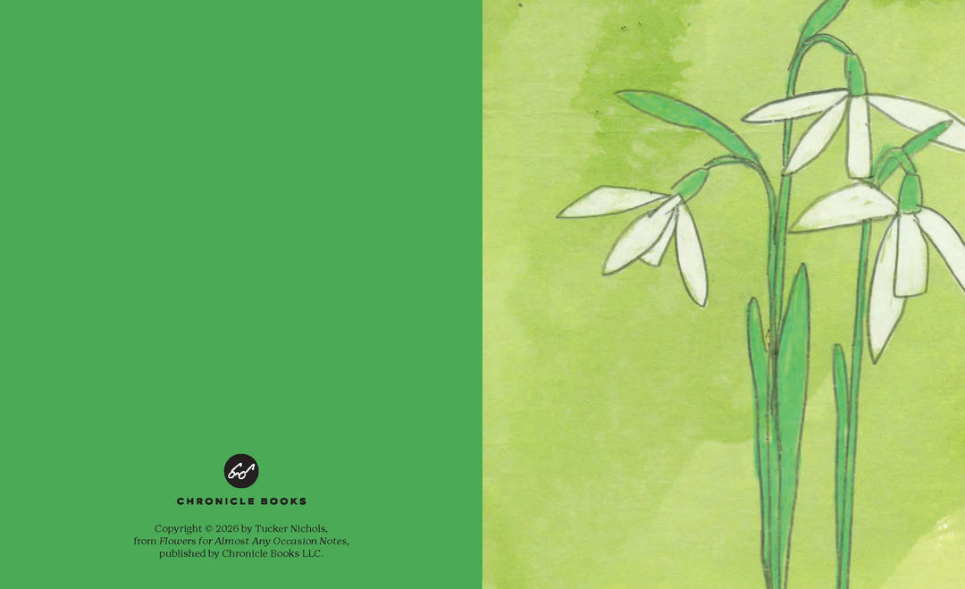 Boxed Cards | Flowers for Almost Any Occasion