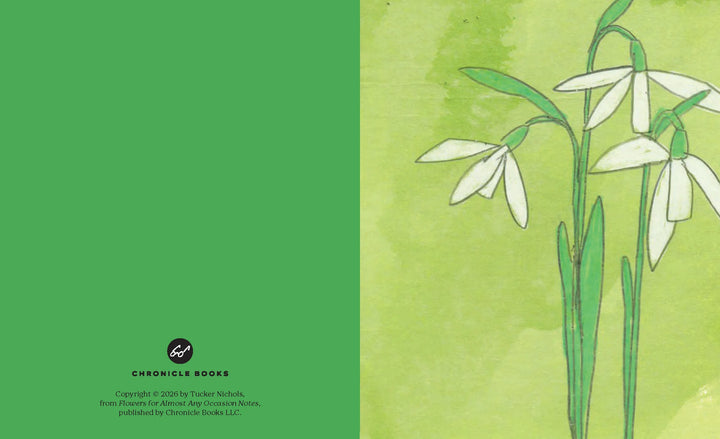 Boxed Cards | Flowers for Almost Any Occasion