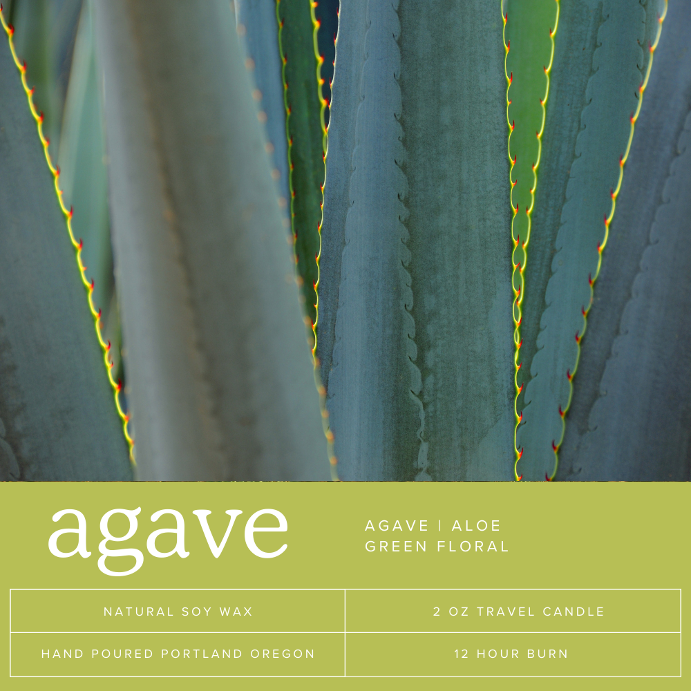 Agave Soy Candle Tin | 2oz