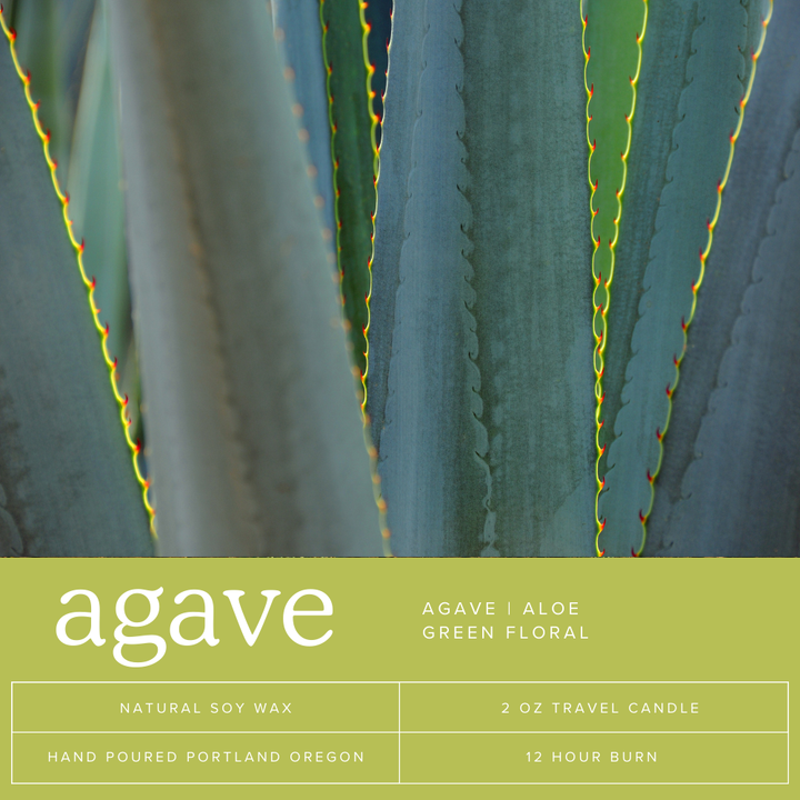Agave Soy Candle Tin | 2oz