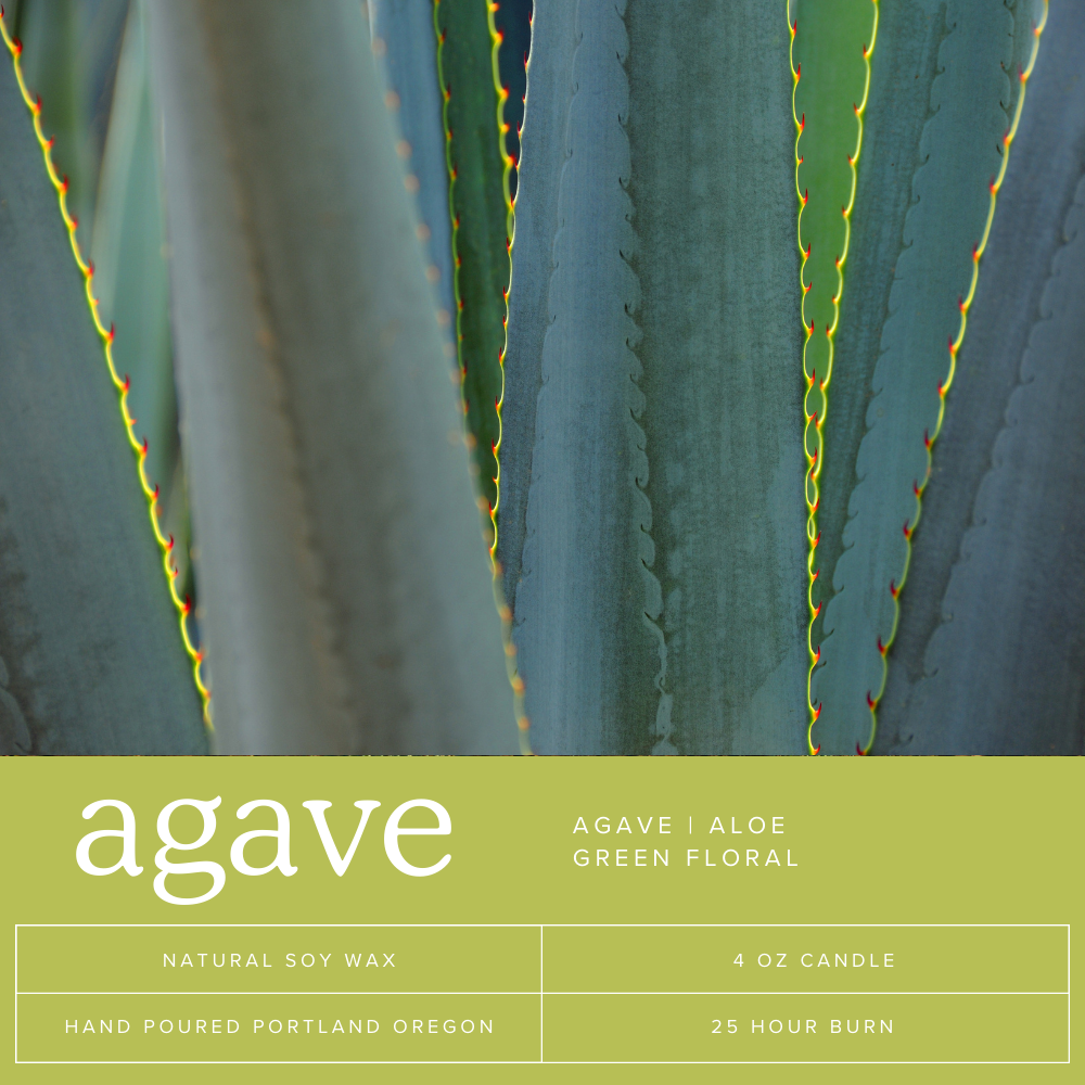 Agave Soy Candle Tin | 4oz