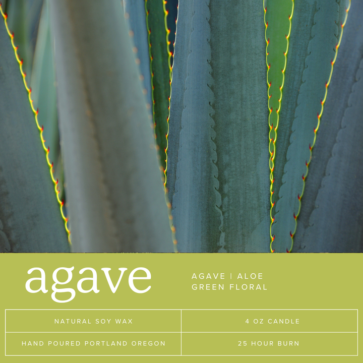 Agave Soy Candle Tin | 4oz