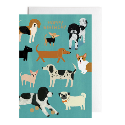 Birthday Card "Dogs!"