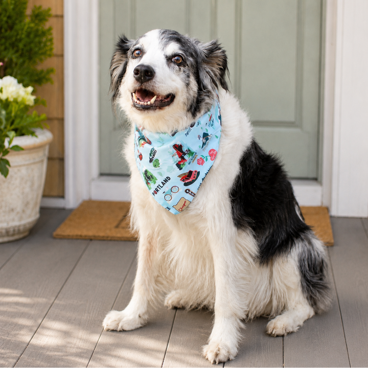 Medium Dog Bandana