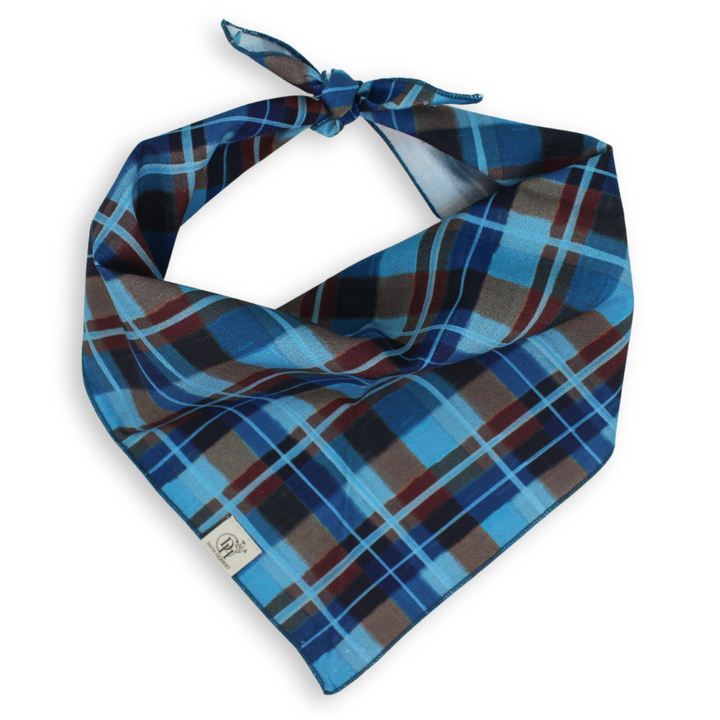 Medium Dog Bandana