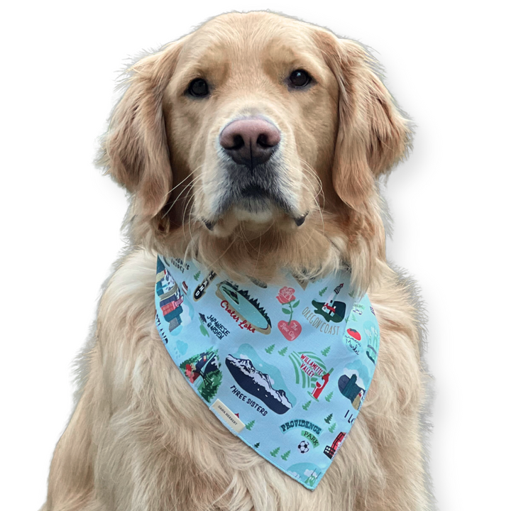 Large Dog Bandana