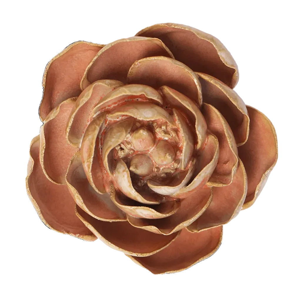 Ceramic Wall Flower | Peach Pink Peony