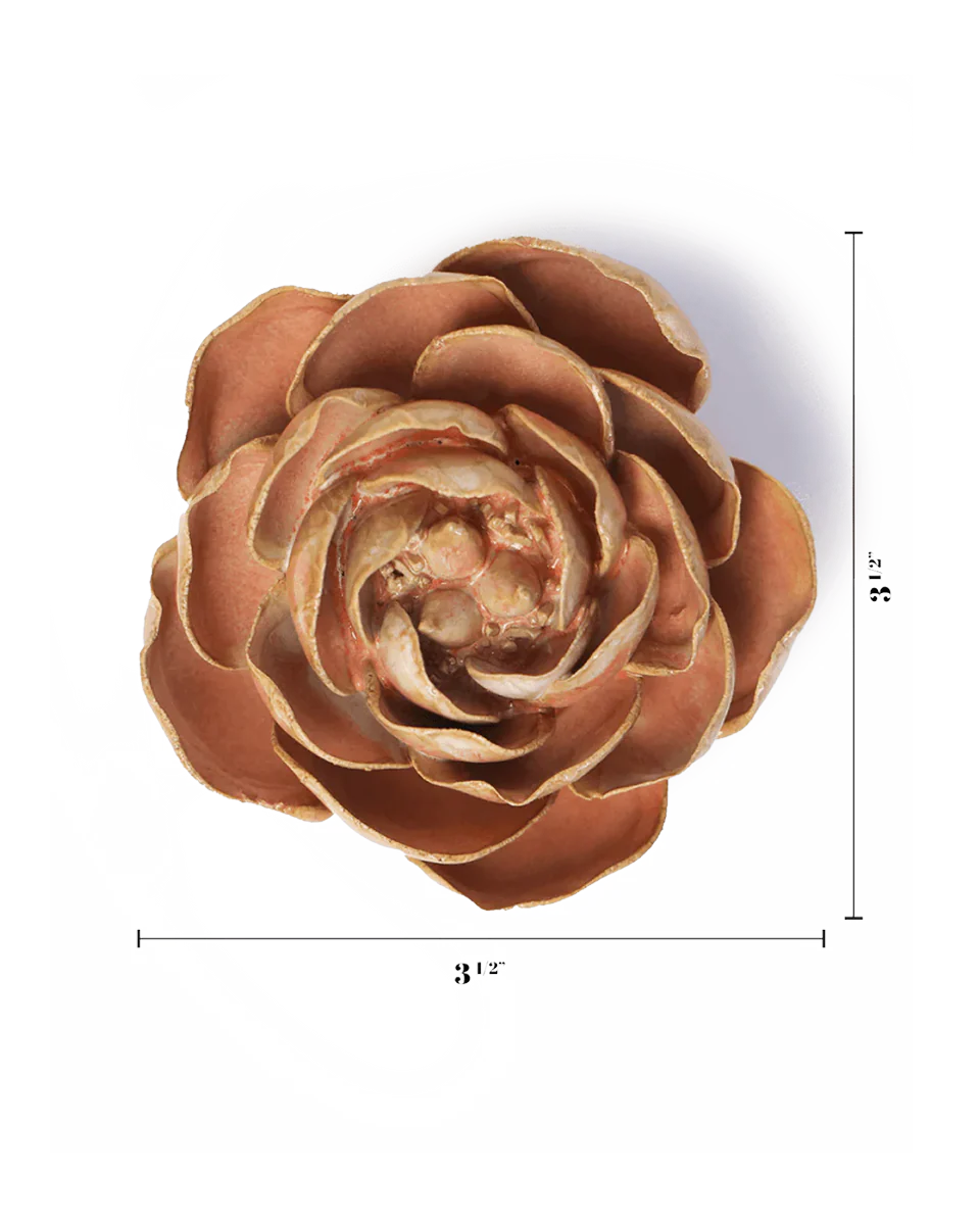 Ceramic Wall Flower | Peach Pink Peony