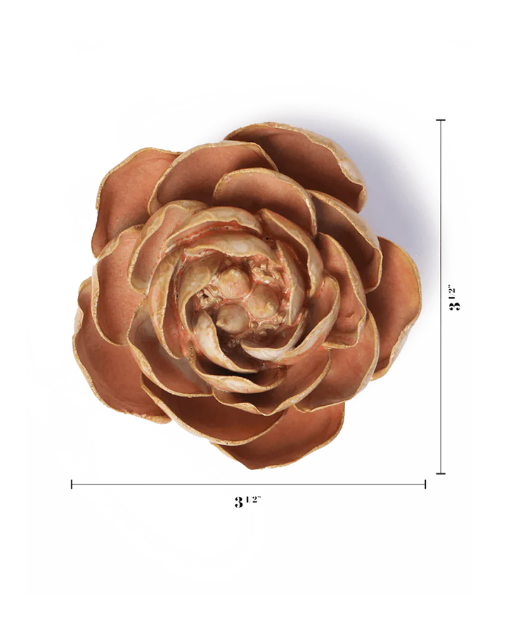 Ceramic Wall Flower | Peach Pink Peony