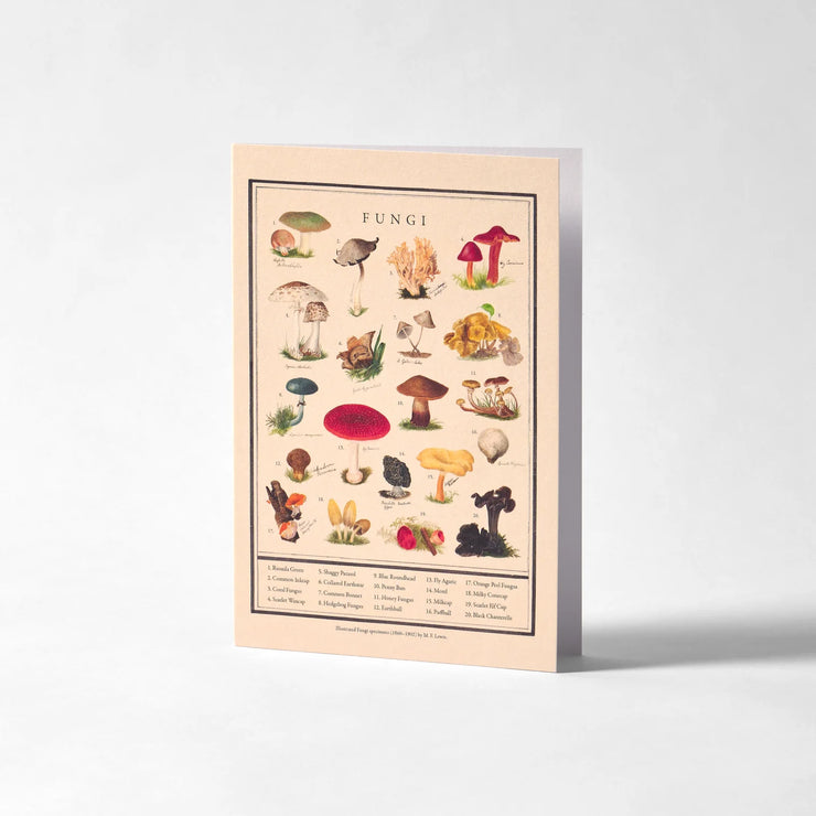 Blank Card "Fungi"