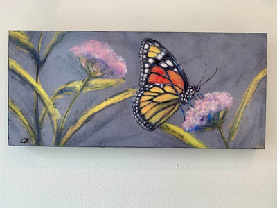 Butterfly on Milkweed Art Print