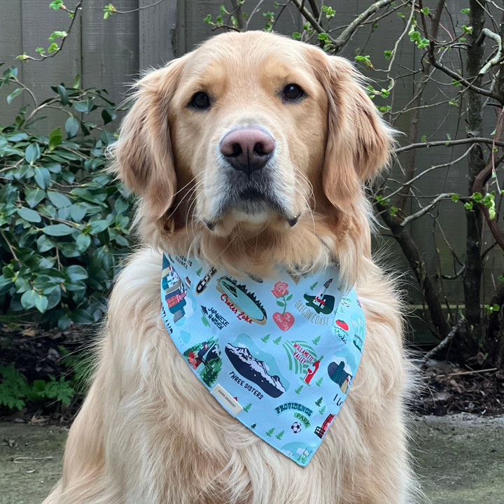 Large Dog Bandana