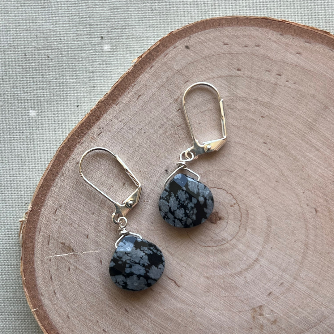 Silver Gemstone Simple Earrings