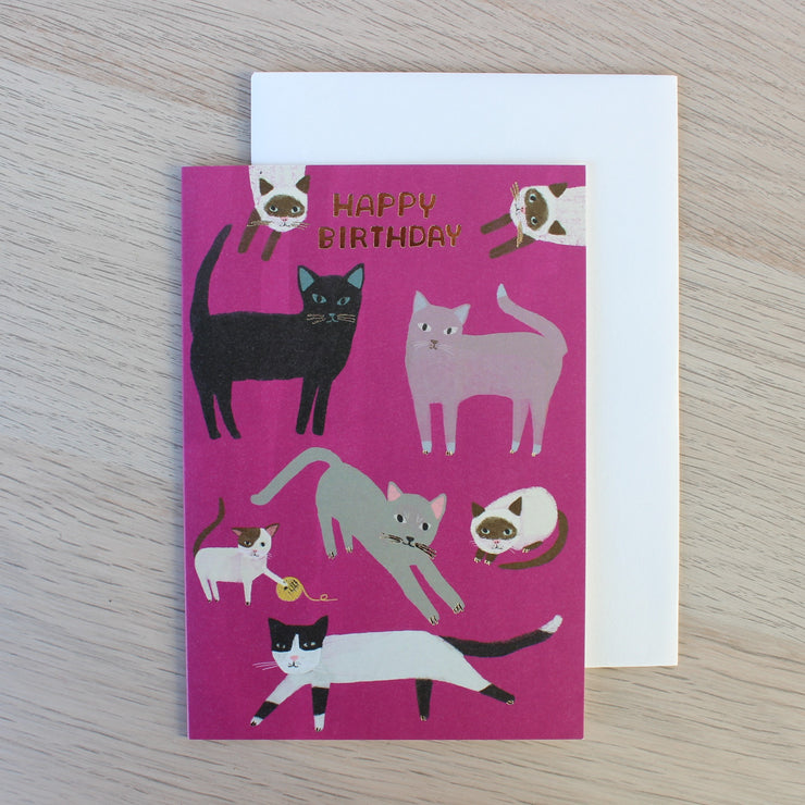 Birthday Card "Magenta Cats"
