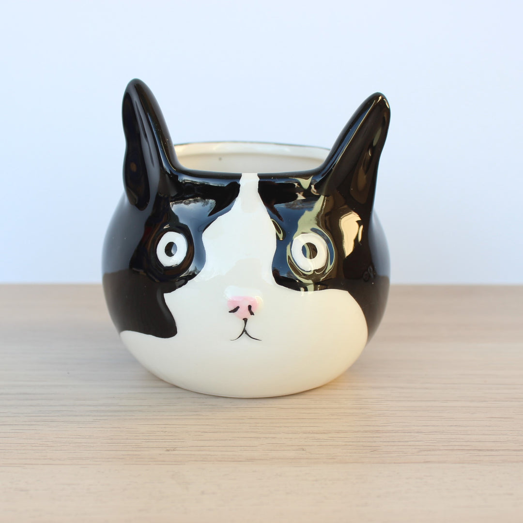 black cat succulent Planter