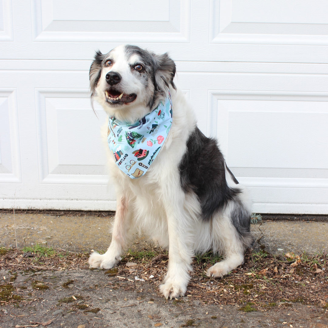 Medium Dog Bandana