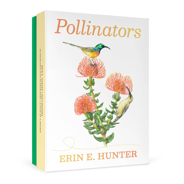Boxed Notecards | Erin E. Hunter: Pollinators