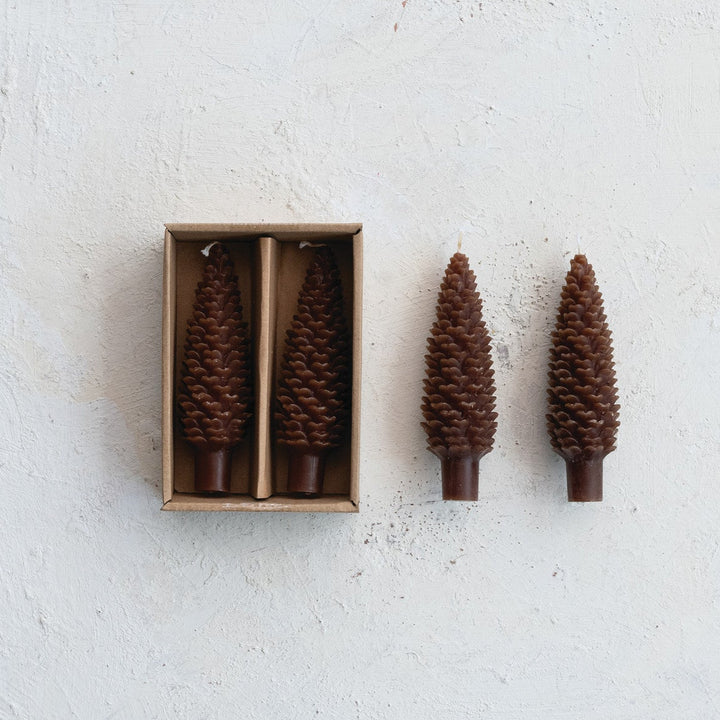 Taper Candles | Pinecone Short