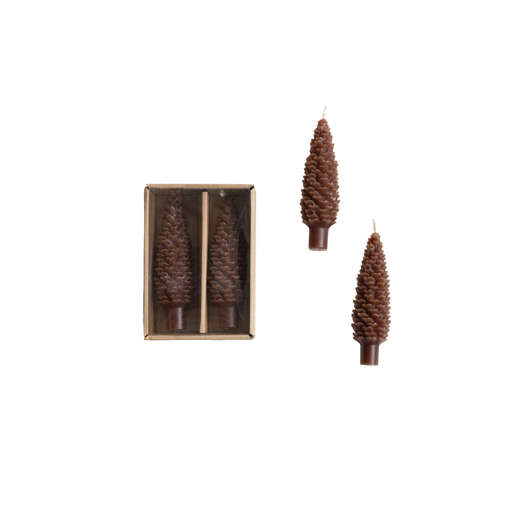 Taper Candles | Pinecone Short