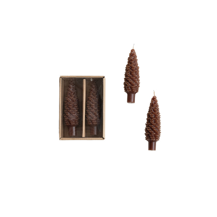 Taper Candles | Pinecone Short