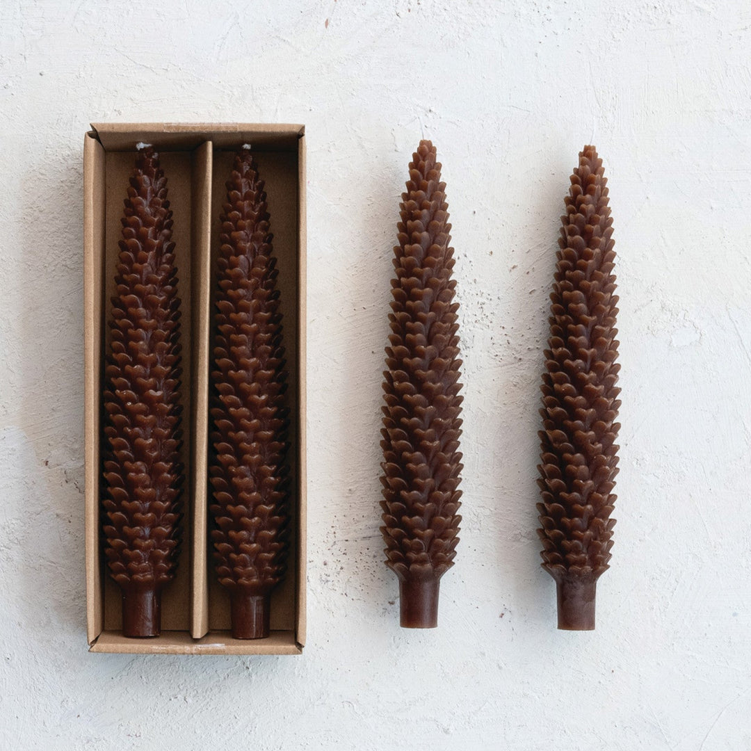 Taper Candles | Pinecone Tall